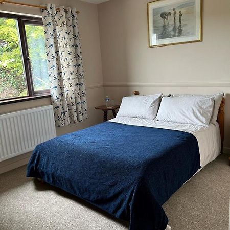 Long View Guest Accommodation Downpatrick Esterno foto