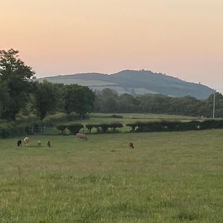 Long View Guest Accommodation Downpatrick Esterno foto
