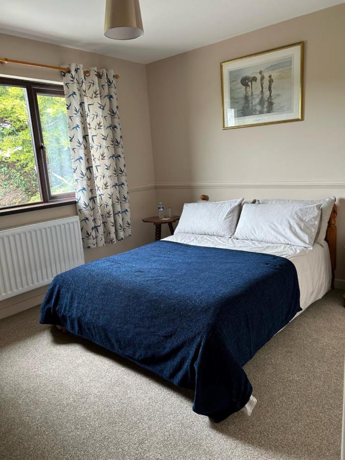 Long View Guest Accommodation Downpatrick Esterno foto