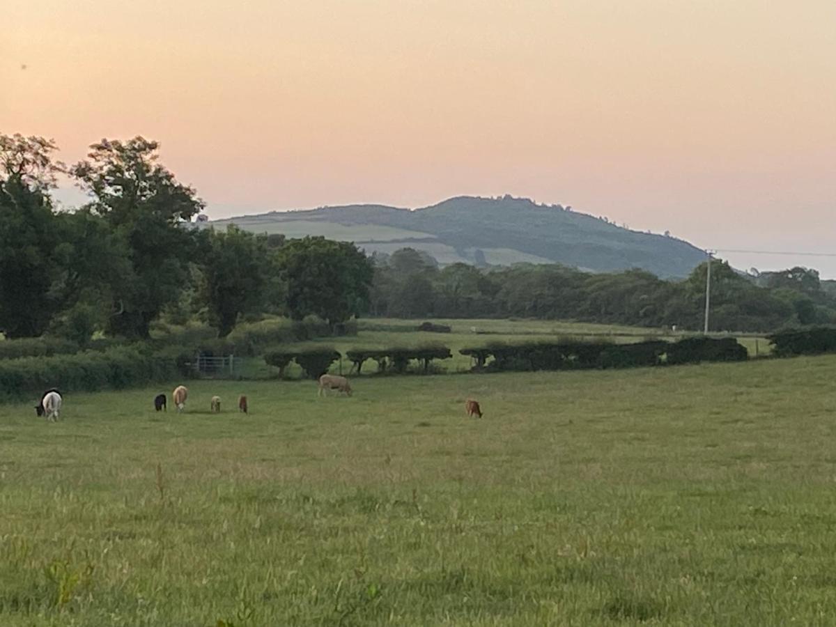 Long View Guest Accommodation Downpatrick Esterno foto