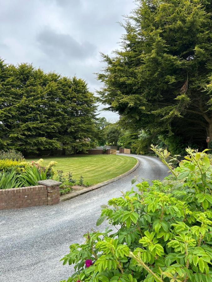 Long View Guest Accommodation Downpatrick Esterno foto